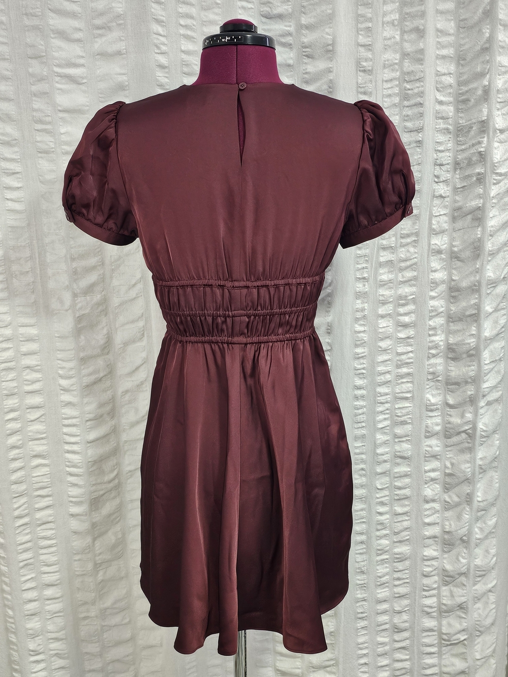 Aritzia Sunday Best Anderson Short Babydoll Puff-Sleeve Smocked Waist Dress - Picture 5 of 15